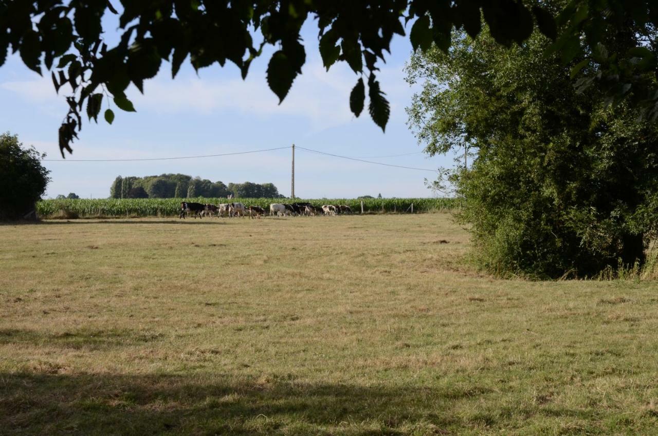 Gite De La Pature Le Thuit-Simer Esterno foto